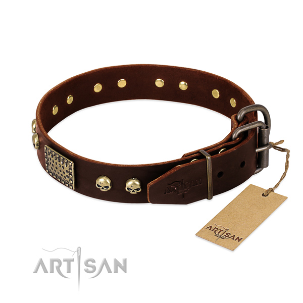 Reliable buckle on everyday use dog collar