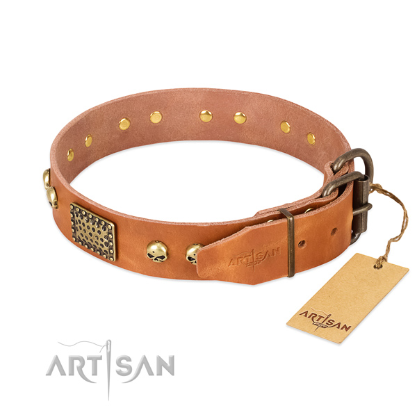 Corrosion proof studs on easy wearing dog collar