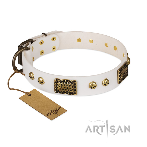 Corrosion proof traditional buckle on handy use dog collar