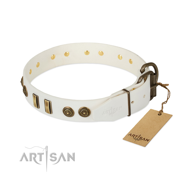 Corrosion proof buckle on natural leather dog collar for your canine