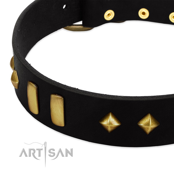 Quality genuine leather dog collar with top notch decorations