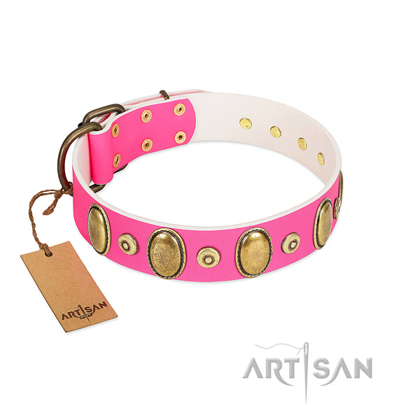 Durable full grain natural leather collar with corrosion proof studs for your doggie