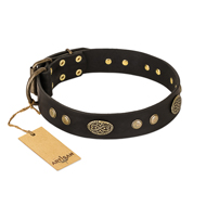 "Perfect Tracery" FDT Artisan Black Leather Doberman Collar with Old Bronze Look Plates and Circles "Perfect Tracery" FDT Artisan Black Leather Doberman Collar with Old Bronze Look Plates and Circles