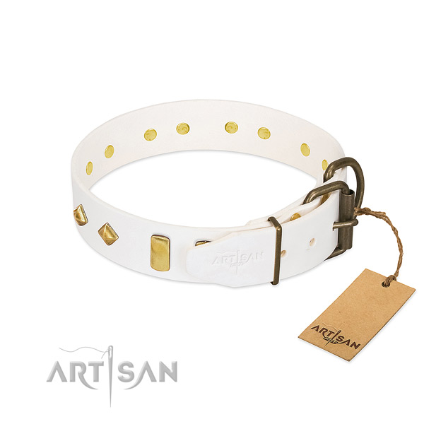 Quality natural leather dog collar with durable traditional buckle