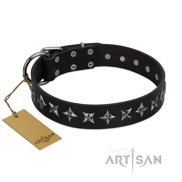 Stylish walking dog collar of high quality leather with embellishments