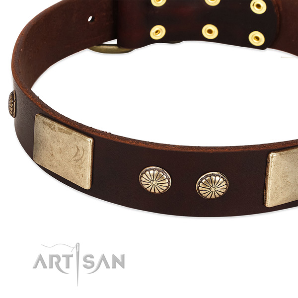 Corrosion resistant buckle on full grain genuine leather dog collar for your four-legged friend