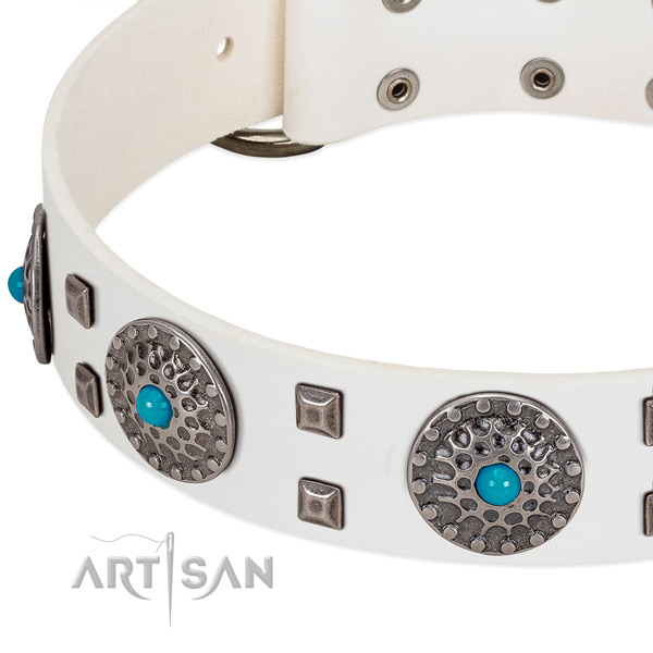 Quality leather dog collar with unique studs