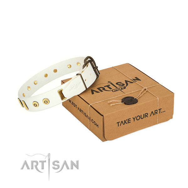 Full grain leather dog collar with unique embellishments for fancy walking