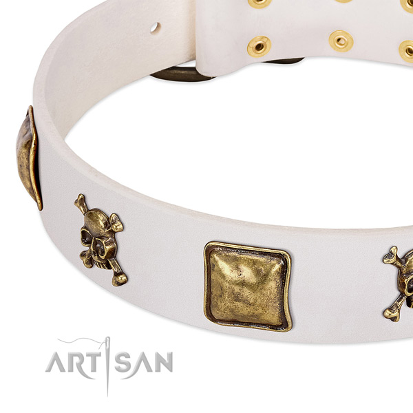 Fashionable natural leather dog collar with rust resistant studs