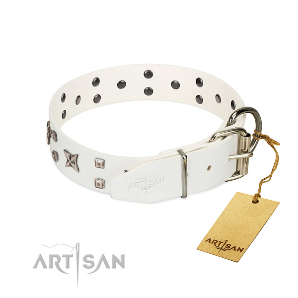 Reliable leather dog collar with designer embellishments