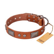 "Sparkling Skull" FDT Artisan Tan Leather Doberman Collar with Old Silver Look Plates and Skulls "Sparkling Skull" FDT Artisan Tan Leather Doberman Collar with Old Silver Look Plates and Skulls