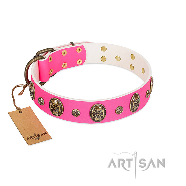 Embellished full grain natural leather dog collar for everyday walking
