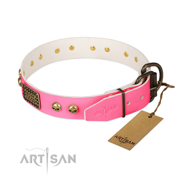 Rust-proof fittings on basic training dog collar