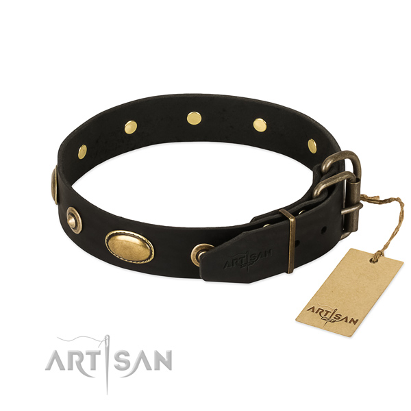 Reliable hardware on genuine leather dog collar for your pet