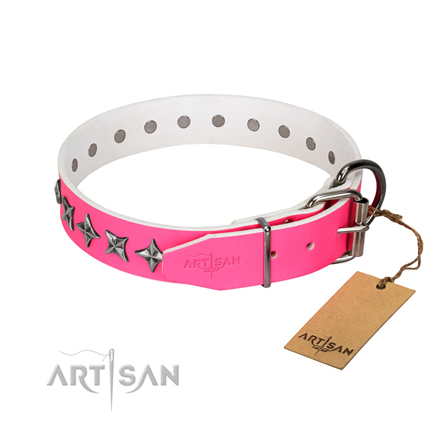 Finest quality natural leather dog collar with incredible embellishments