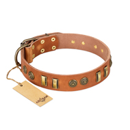 "Natural Beauty" FDT Artisan Tan Leather Doberman Collar with Old Bronze-like Circles and Plates "Natural Beauty" FDT Artisan Tan Leather Doberman Collar with Old Bronze-like Circles and Plates