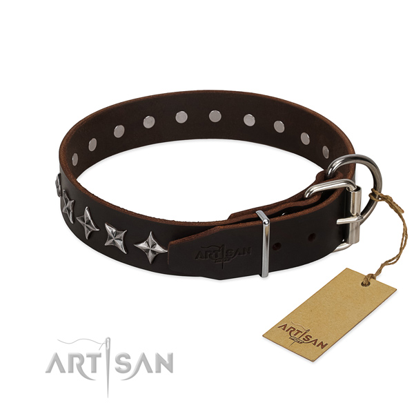 Everyday walking decorated dog collar of finest quality leather