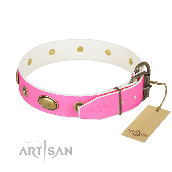 Reliable studs on natural leather dog collar for your pet