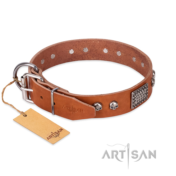 Corrosion proof hardware on handy use dog collar