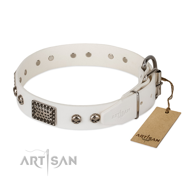 Rust-proof adornments on comfortable wearing dog collar