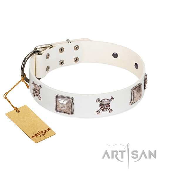 Easy wearing dog collar handcrafted for your handsome pet