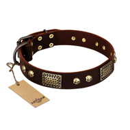 "Magic Amulet" Brown Leather Doberman Collar with Skulls and Plates "Magic Amulet" Brown Leather Doberman Collar with Skulls and Plates