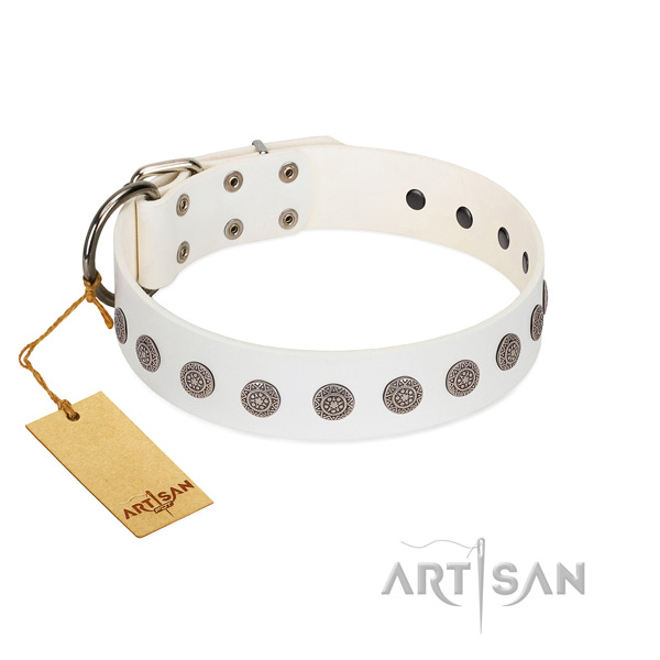 Amazing studs on genuine leather collar for fancy walking your doggie