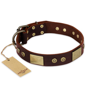 "Shining Armour" FDT Artisan Brown Leather Doberman Collar with Decorations "Shining Armour" FDT Artisan Brown Leather Doberman Collar with Decorations