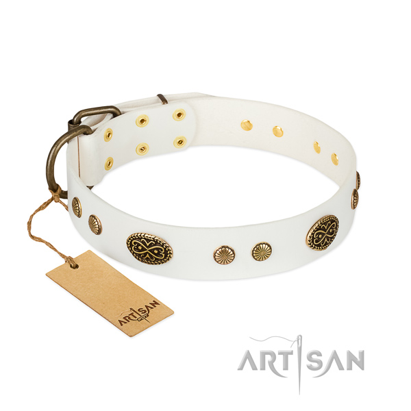 Strong embellishments on full grain natural leather dog collar for your doggie