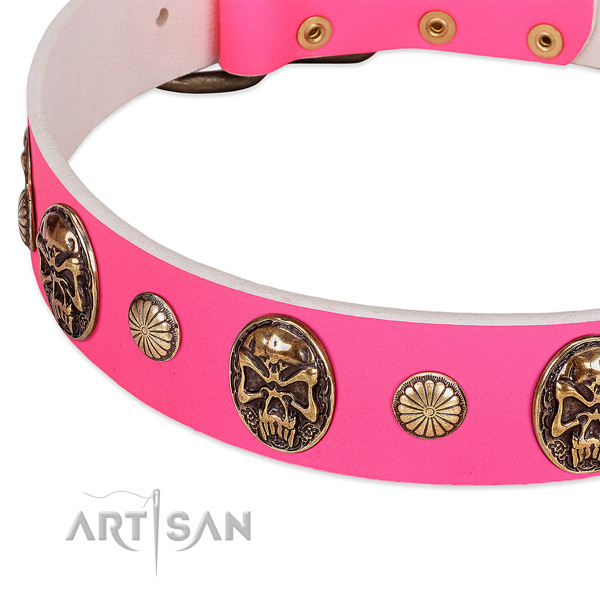 Rust-proof traditional buckle on leather dog collar for your canine