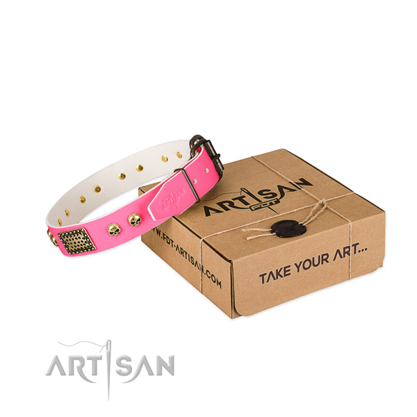 Rust resistant fittings on dog collar for comfy wearing