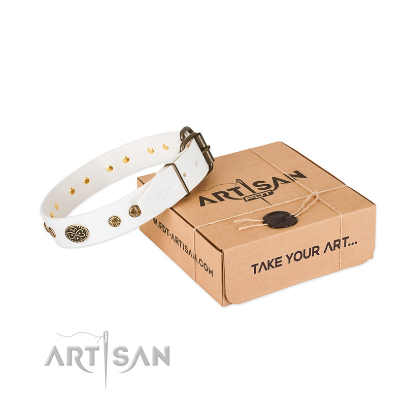 Reliable D-ring on genuine leather dog collar for your doggie