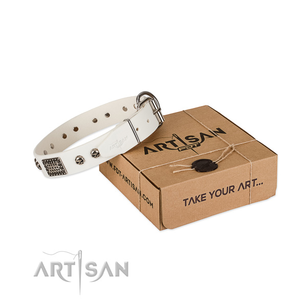 Reliable adornments on dog collar for easy wearing