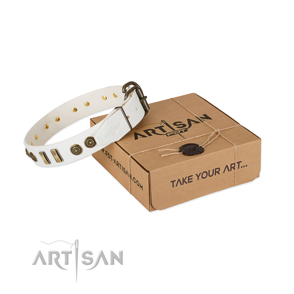 Rust-proof studs on full grain genuine leather dog collar for your dog