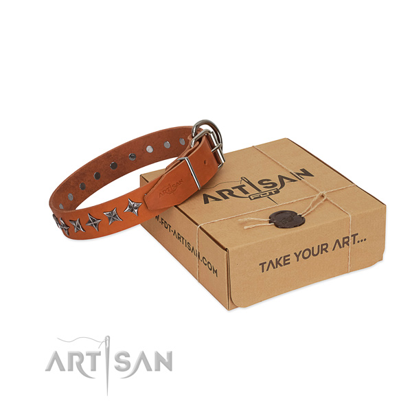 Comfy wearing dog collar of best quality full grain leather with embellishments