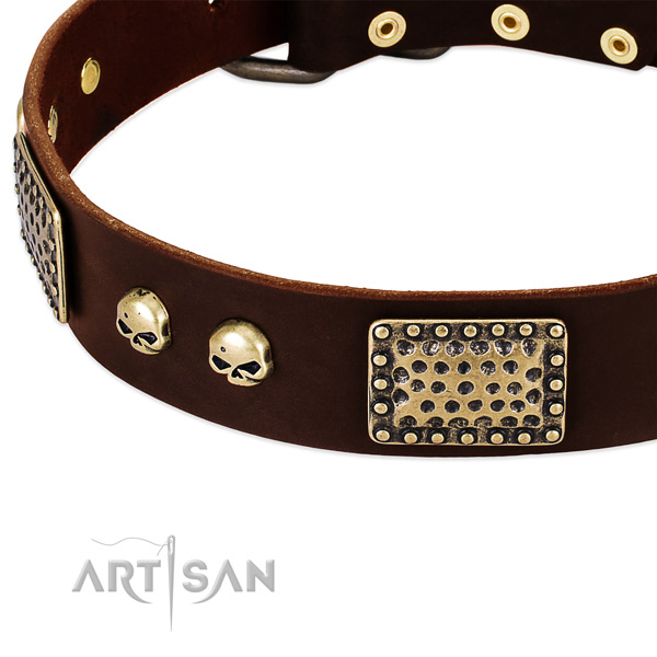 Rust resistant studs on full grain genuine leather dog collar for your four-legged friend