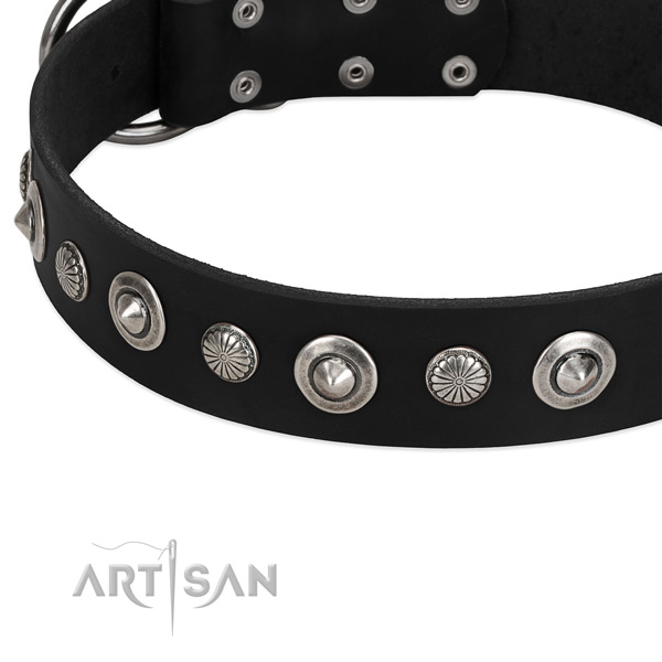 Comfy wearing embellished dog collar of strong natural leather