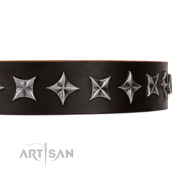 Daily walking studded dog collar of high quality leather