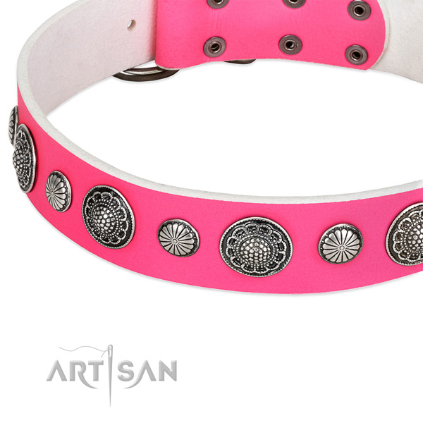 Full grain natural leather collar with rust resistant D-ring for your impressive four-legged friend