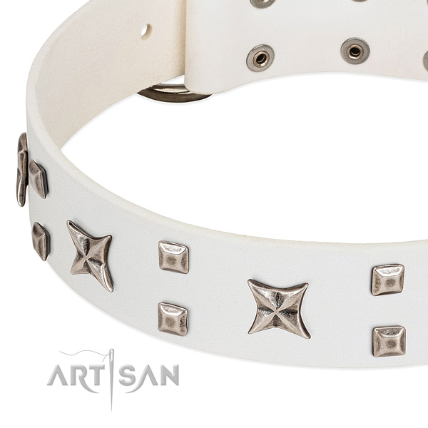 Best quality full grain leather dog collar with studs for walking