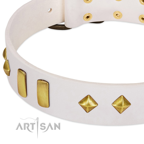Comfy wearing natural leather dog collar with stylish design adornments