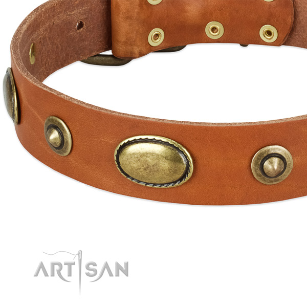 Rust resistant buckle on natural leather dog collar for your doggie