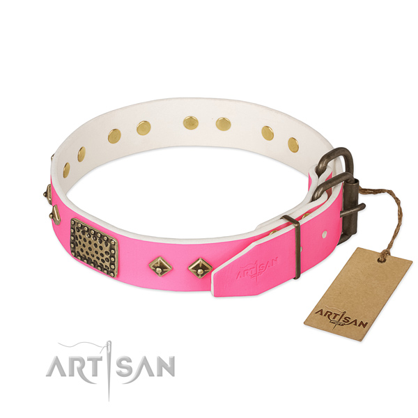 Durable adornments on daily walking dog collar