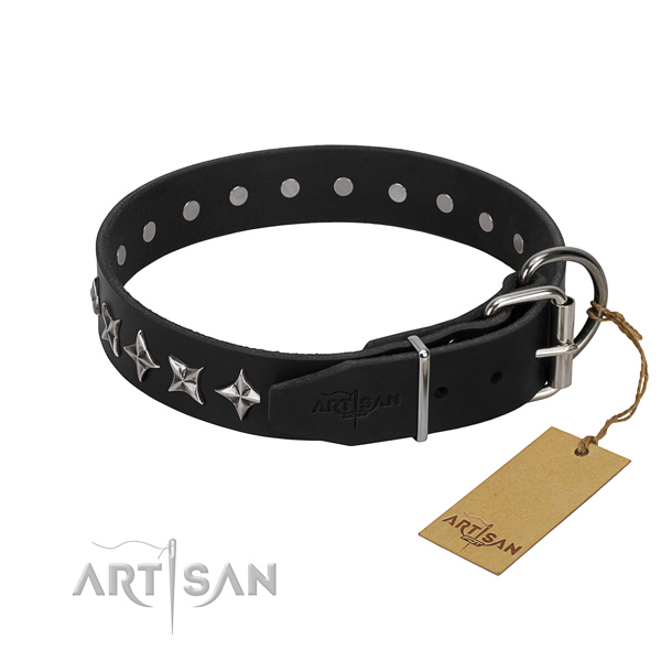 Basic training adorned dog collar of durable full grain leather