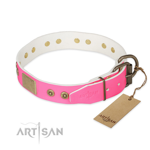 Rust resistant adornments on basic training dog collar