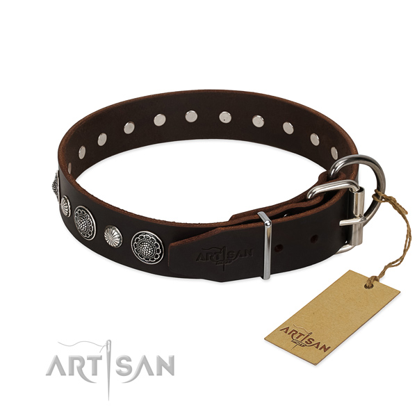 Top quality full grain leather dog collar with unusual embellishments