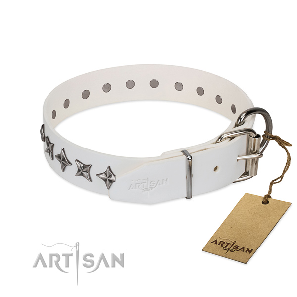 Stylish walking decorated dog collar of top notch full grain natural leather