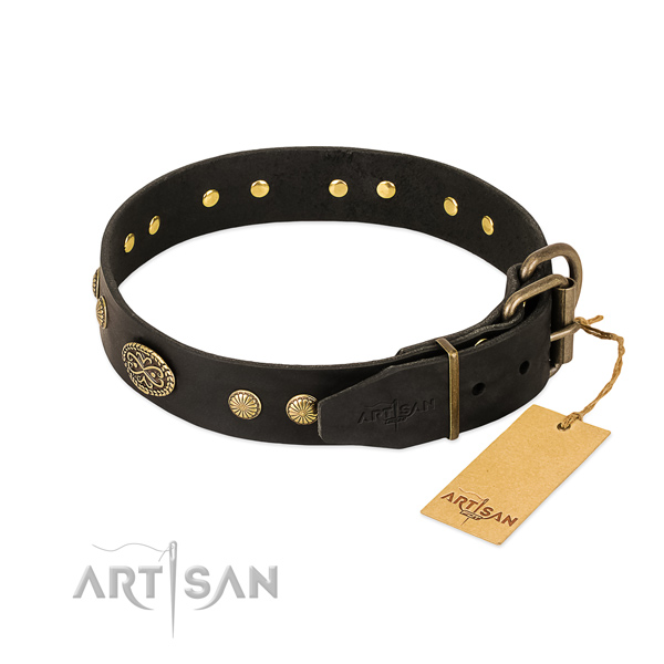 Corrosion resistant adornments on full grain leather dog collar for your four-legged friend