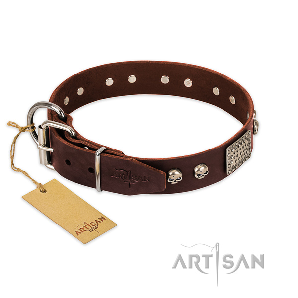 Corrosion proof traditional buckle on basic training dog collar