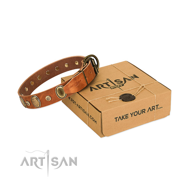 Rust-proof D-ring on comfortable wearing collar for your pet